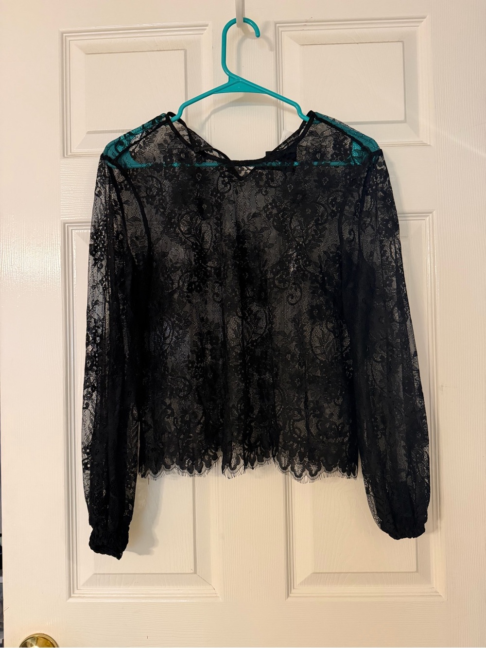 H&M Black Sheer Floral Lace Long-Sleeve Blouse